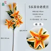 Orquídea tigre lirio de 5 cabezas, naranja