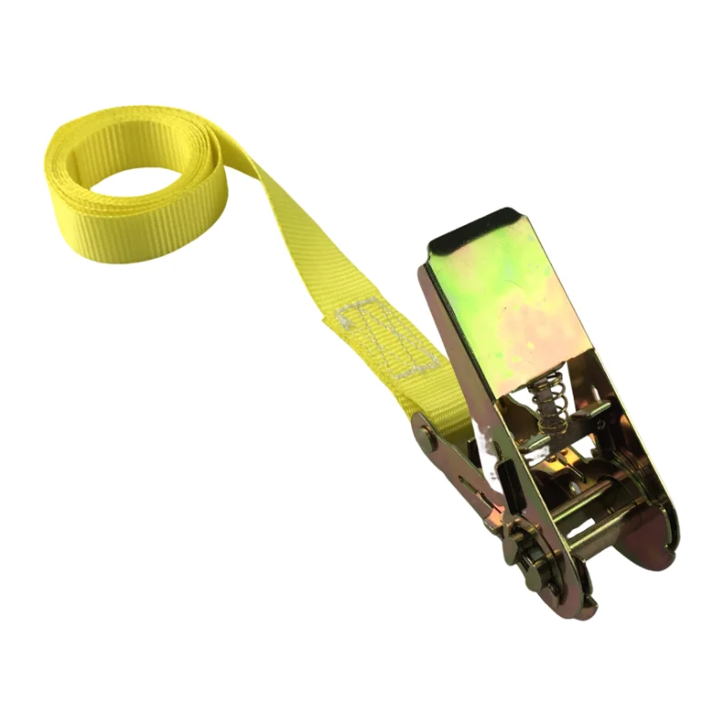Polyester Ratchet Straps Kit with Cam Buckle J-Hooks Tie Down Tensioner for Container Lashing 10m Length Certified with GS