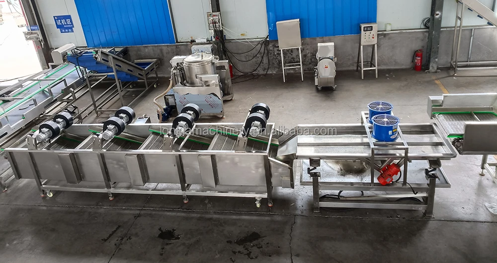 Fruit and Vegetable Sterilizer factory