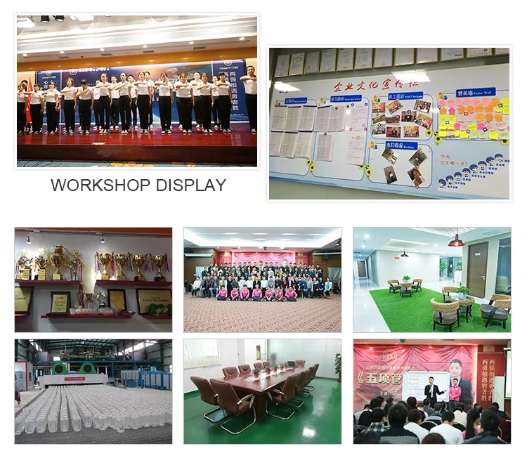 Shenzhen Lefeng Technology Company Limited 1