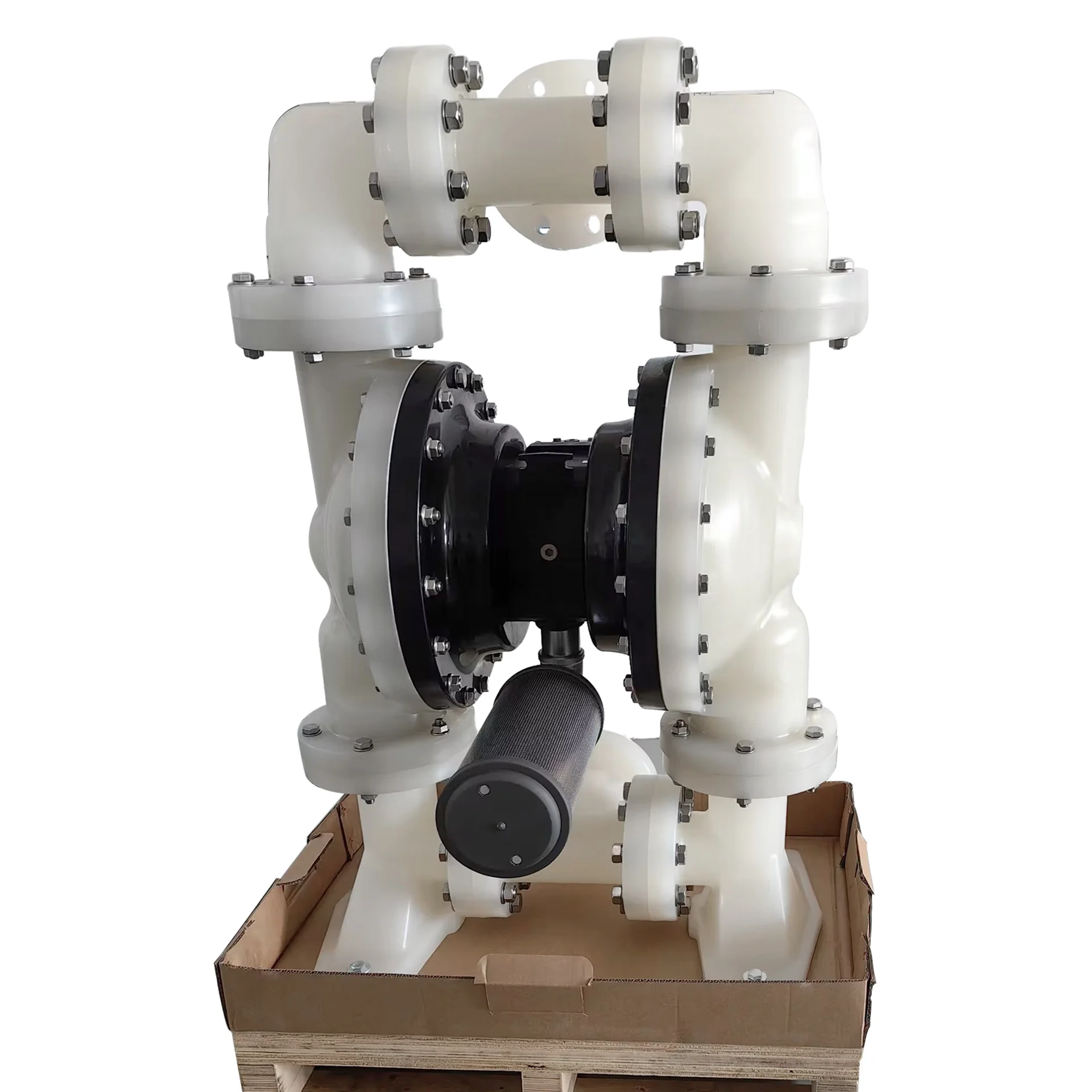 PD30P-FPS-PTT  Diaphragm Pump