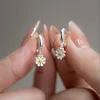Oro bianco