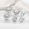 R100-2 Plata 1