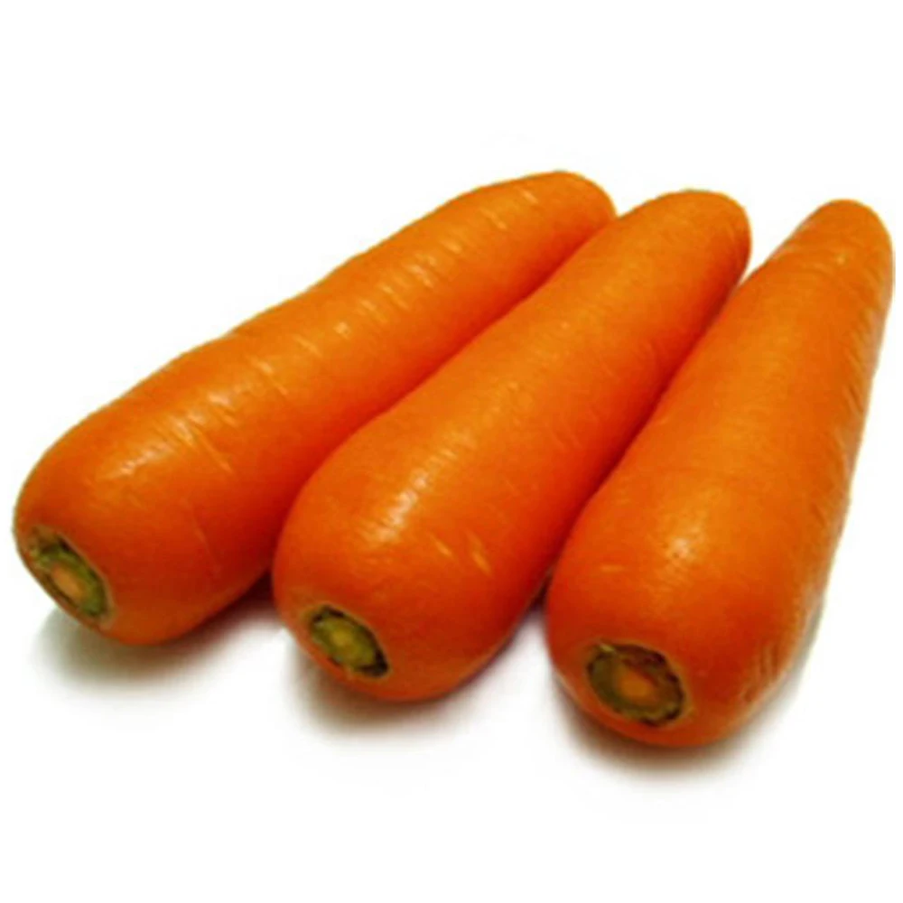 Top Grade Wholesale Supply Organic Planting Fresh Vegetables Wholesale Carrot Fresh Red Carrot 10kg Paper Carton Lowest Price