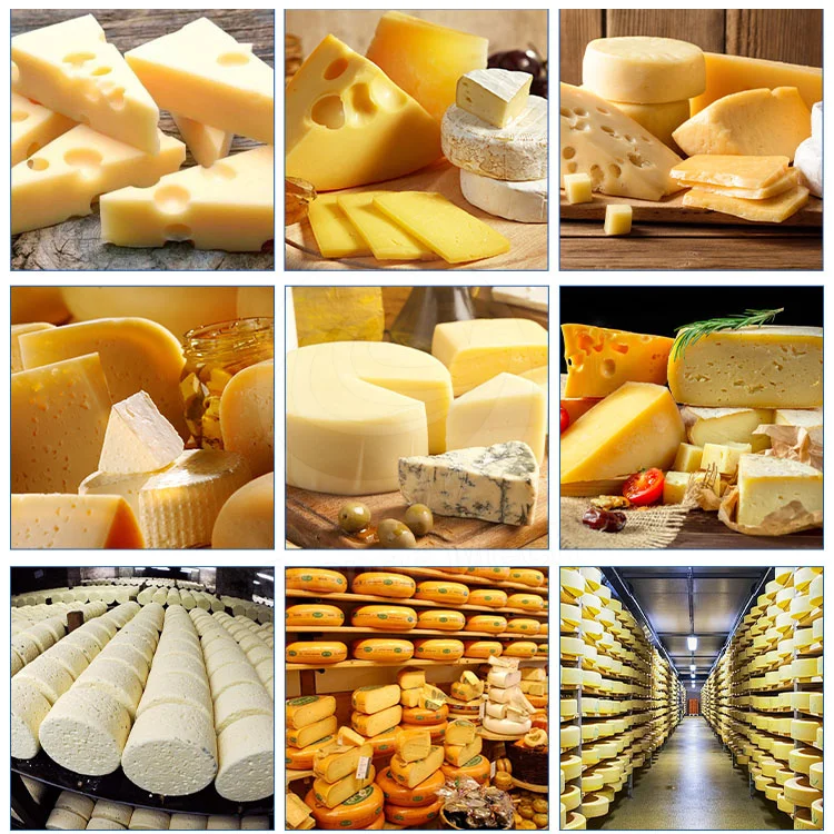 Small Scale Dairy Cheese Curd Mozzarella Cheese Make Machine Molding Machine Mozzarella Cheese Make Machine