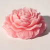 สีชมพู