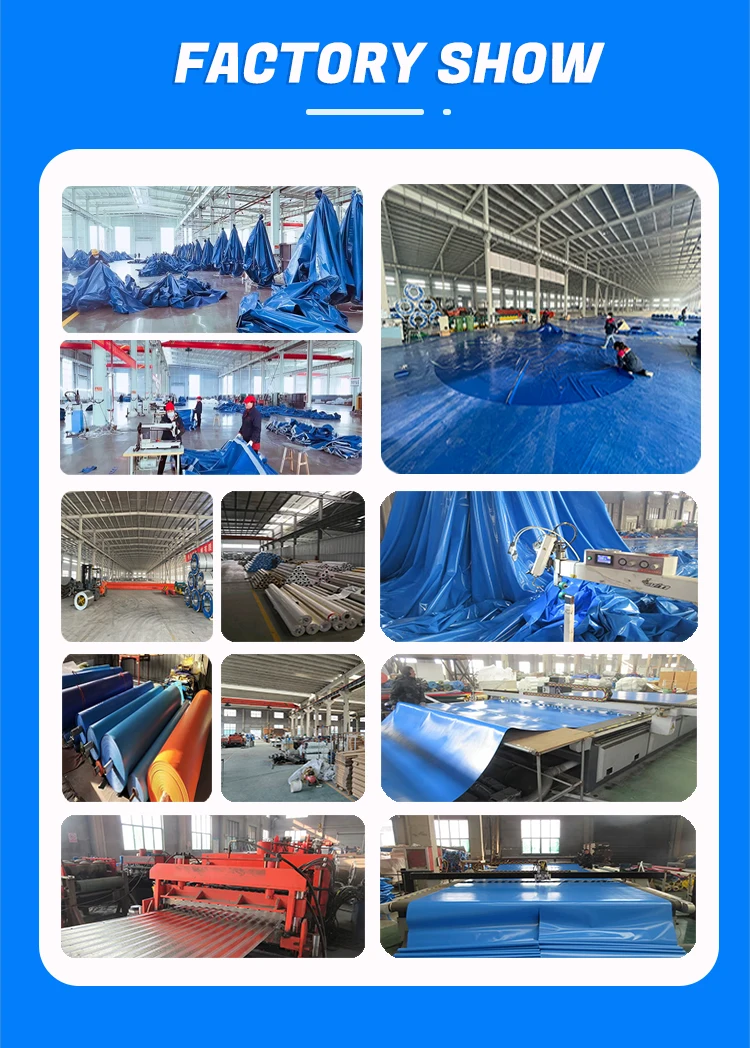 Ras System Aquaculture Equipment for Shrimp Tilapia Fish Farming in ...