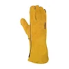 Ocher