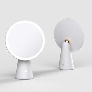 Beauty Salon Dimmable LED Makeup Mirror Light Rechargeable Cosmetic Light up Mirror for Lady