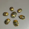 1 grand ensemble de 6 petits scarabées