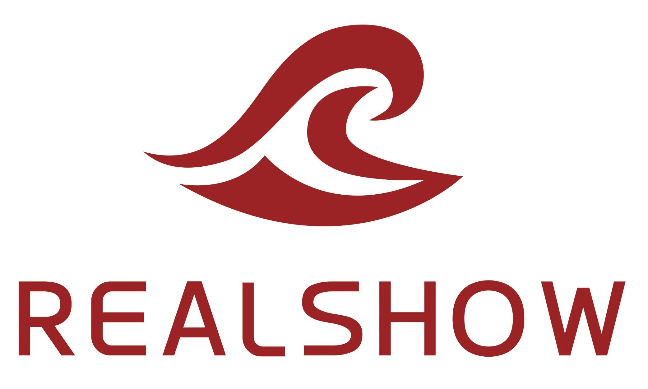 Company overview hunan realshow smart technology co ltd 