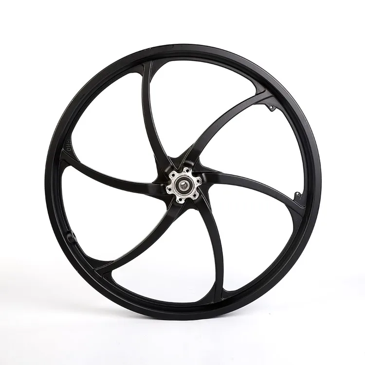 20 Inch Brushless Geared Hub Motor for Electric Bicycle - 24V/36V