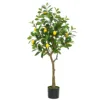 hauteur 120 cm