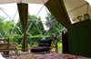 Curtain (10 Colors)
