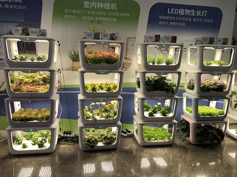 mini greenhouse-8.png