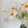 Champagne autunnale