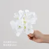สีขาว