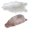 Transparent white