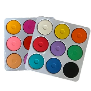 Changxiang 9-Color Watercolor Paint Set (756.5g) for Artists-for Paper & Canvas