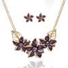 Viola