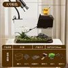 Black brown large sunlight base climbing stone water grass