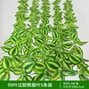 99 leaves coated with adhesive, 5 eyebrow leaves
