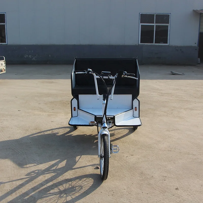 Bicycle Taxi Rickshaw with Rear Motor Colorful Canopy to Choose Pedicab  Mudguard More Upgrade Parts