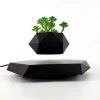 Black base with levitating plants