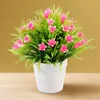 Lily Pink