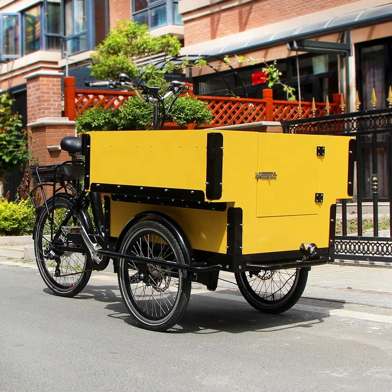 Front Loading Side Open Carriage Tricycle Lastenfahrrad Three Wheel Bike Electric Tricycles Cargo Bike Electric Bicycle