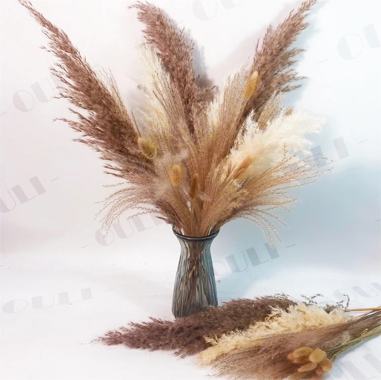 F1404 Factory Custom Size Dried Flowers Wholesale Dry Pampas Grass For