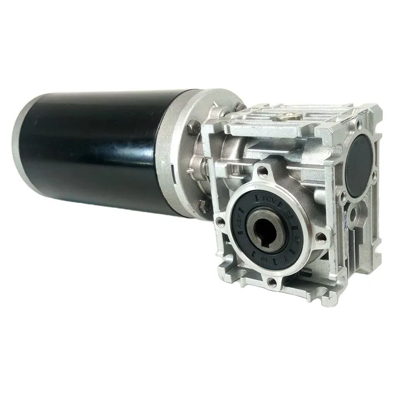 600W Permanent Magnet Electric DC Worm Motor 500Kg Capacity 400W-500W for Home Appliance Electric Bicycle & Fan