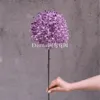 Scallion ball