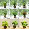 Simulación de plantas verdes en maceta, juego de 9 piezas.