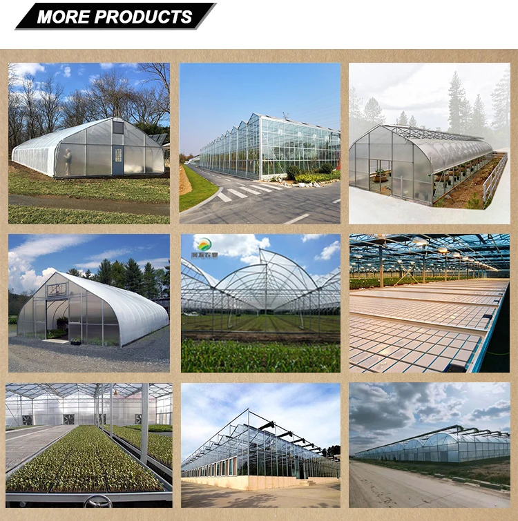 Garden Frost Fleece Protective Greenhouse Cover Hot Dip Galvanized