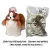 Pelo de cuerpo completo de Shih Tzu (marrón y blanco)