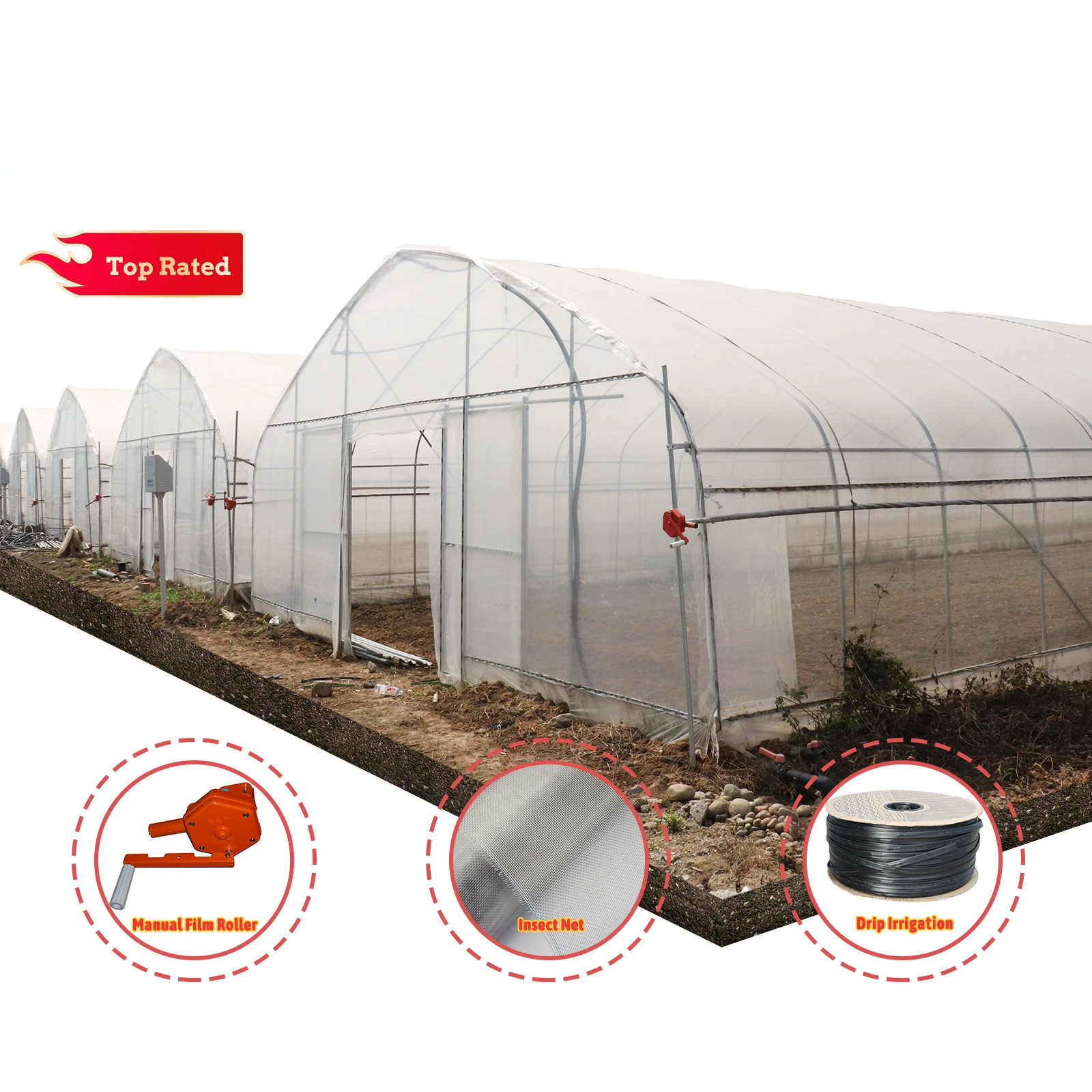 Plastic Film Conservatory Single Span Tunnel Plant Growing House Hydroponic Dome Greenhouse