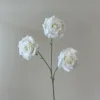rosa bianca