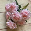 Rosa chiaro