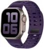 colorful Plum Purple