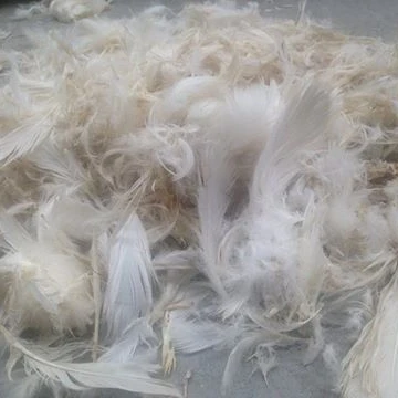 down duck feathers