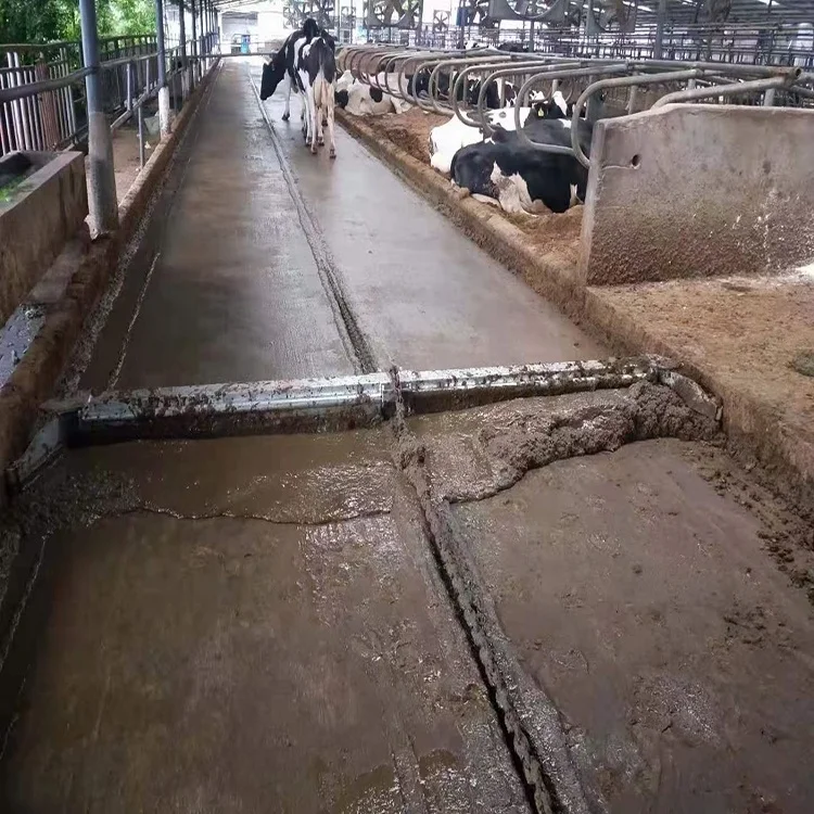 Automatic Manure Cleaning System Dung Scraper Machine for Farm