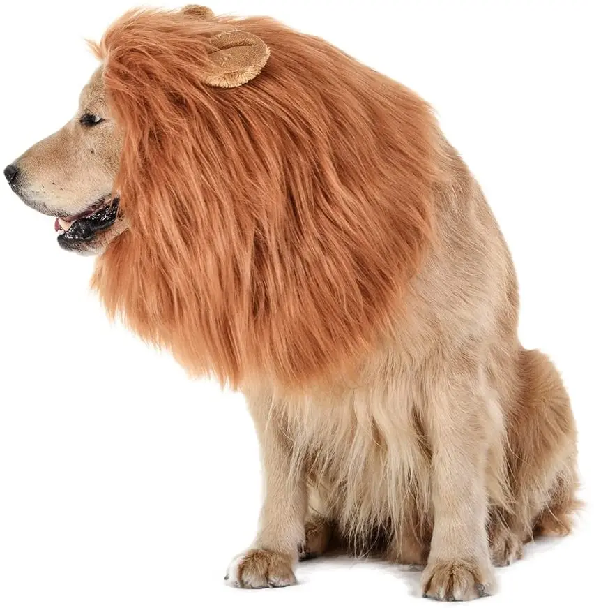 fancy dress for large dogs