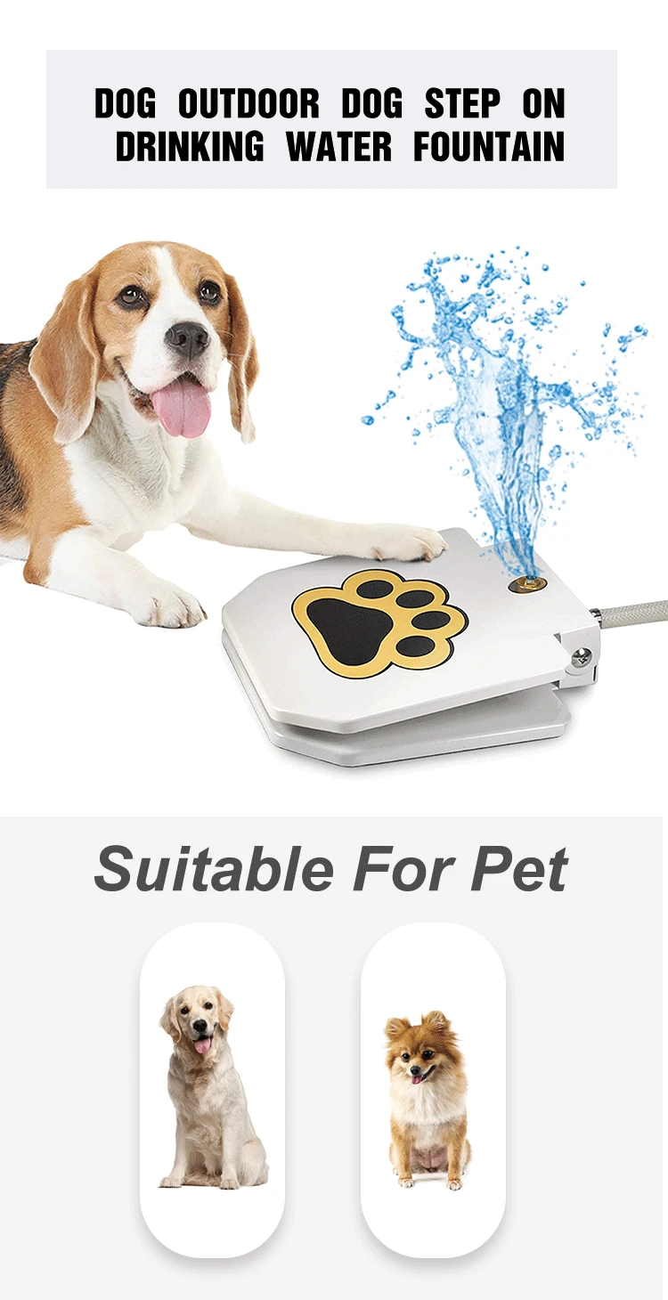 paw activated drinking fountain