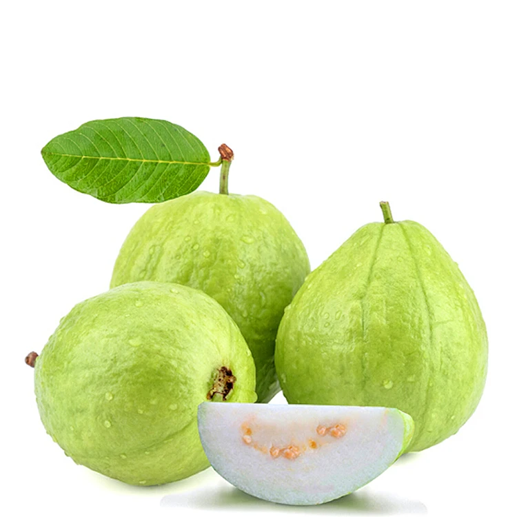 all industries agriculture fruit fresh fruit fresh guava   view