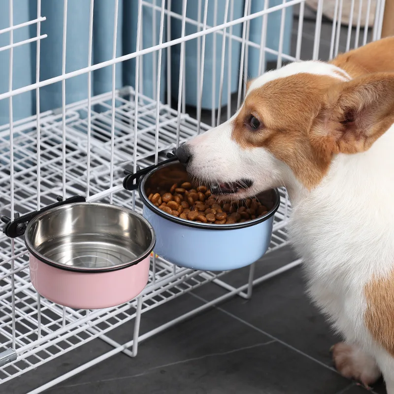 do you put food and water in a dog crate