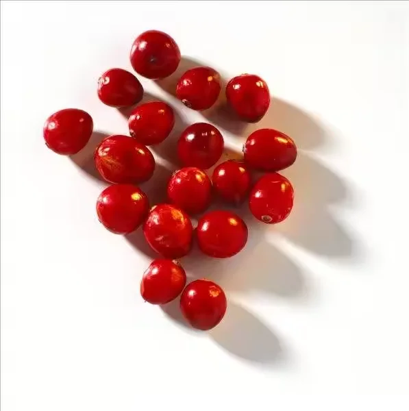 Velkoobchodní cena IQF Zmrazená brusinka prémiové zmrazené ovoce k prodeji