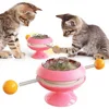 Turntable Slow Feeder Cat Toy - Pink