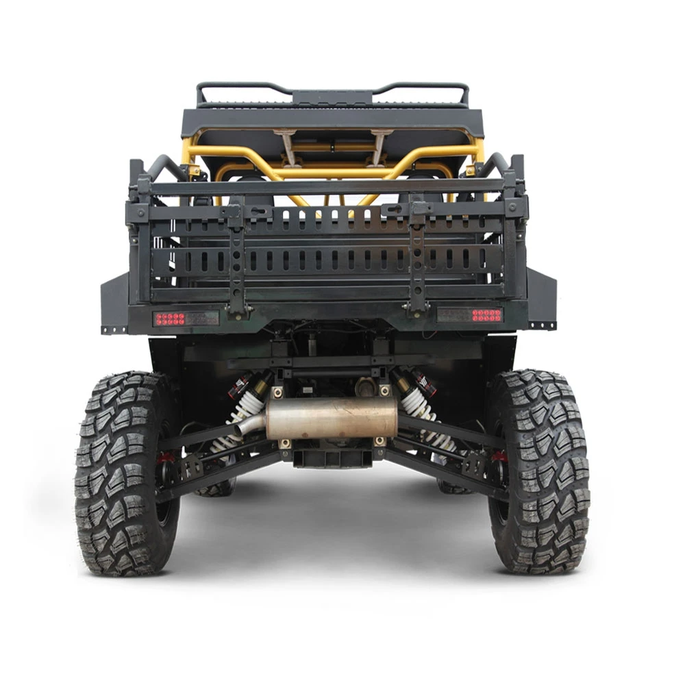 Side by Side 1000cc Utility Vehicle 4x4 Utv