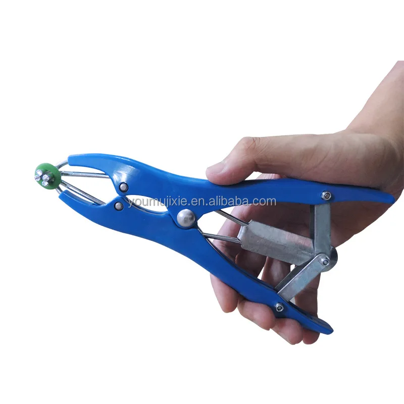 Veterinary Blue Castration Pliers Stainless Steel Piglet Lamb Bloodless ...